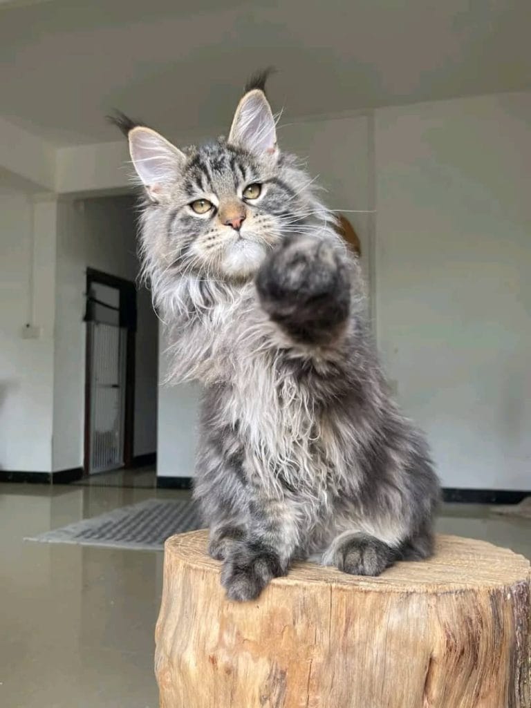 WhatsApp Image 2025-12-26 at 12.30.34 AM