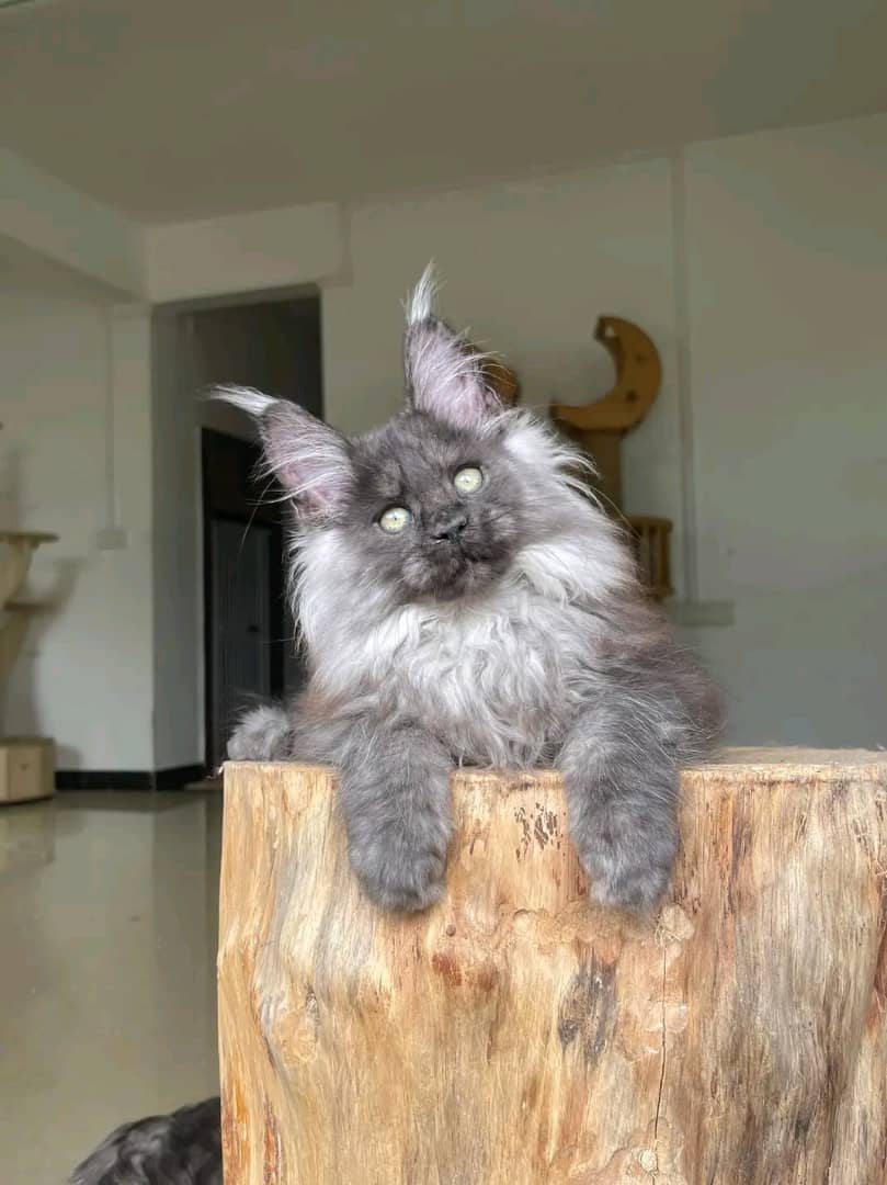 WhatsApp Image 2025-12-26 at 12.30.41 AM